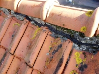 hestel nok nokpannen verburg loodgieter lisse
